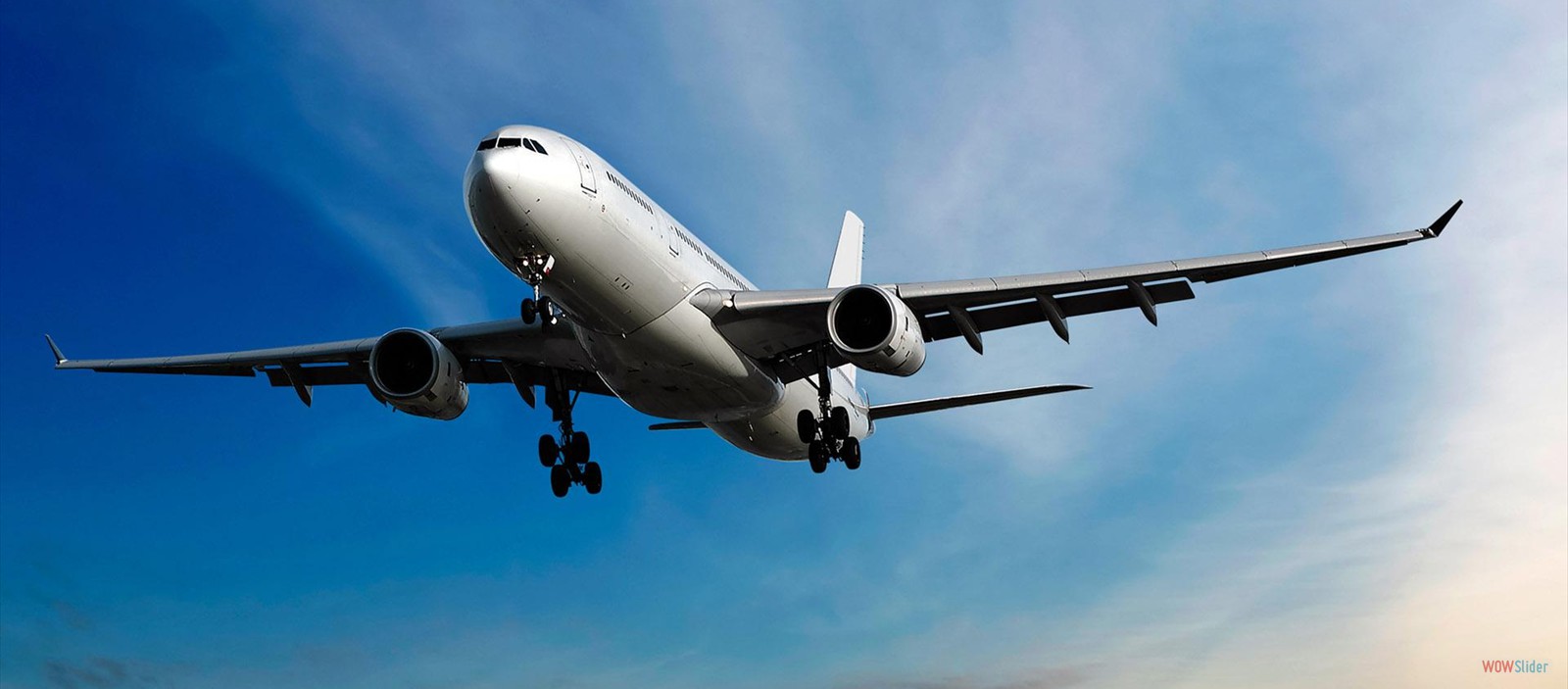 Air Freight